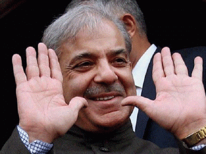 shehbaz seeks to cash in on karachi political void shehbaz seeks to cash in on karachi political void