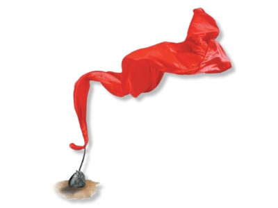 man attempts to rape minor in batapur