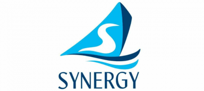 synergy group holds digital event synergy group holds digital event
