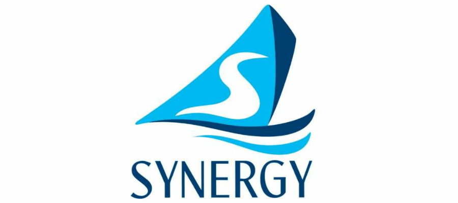 synergy group holds digital event