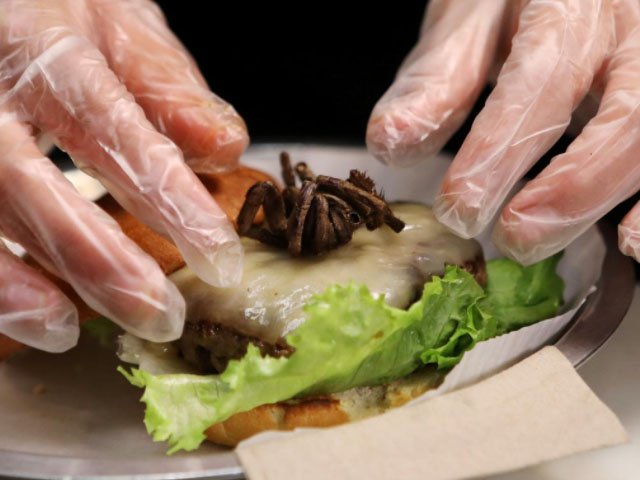 a tarantula burger is prepared at bull city burger and brewery in celebration of exotic meat month in durham north carolina u s april 16 2018 picture taken april 16 2018 photo reuters