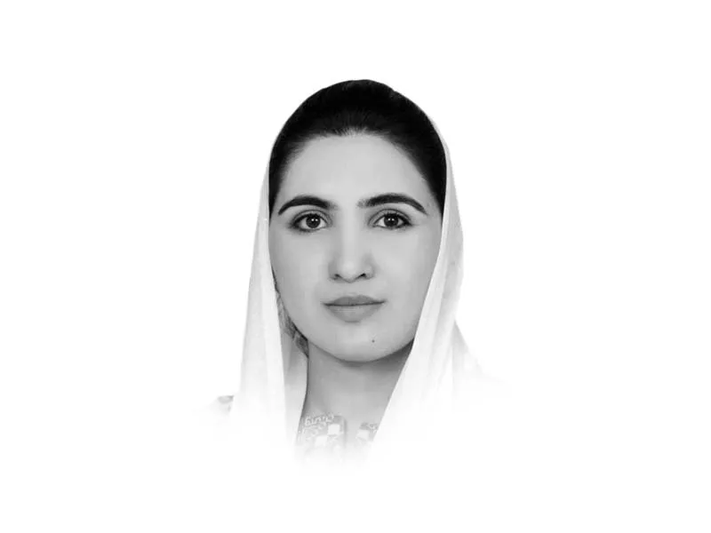 the writer is a law graduate from the university of london and the author of pakistan s warrior princess she tweets sariajadoon the writer is a law graduate from the university of london and the author of pakistan s warrior princess she tweets sariajadoon
