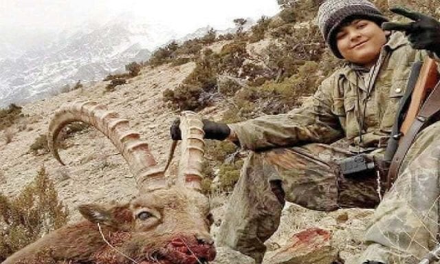 the wildlife department initially defended the hunt on social media but refrained from passing any comment after the official was sidelined out of the blue photo express