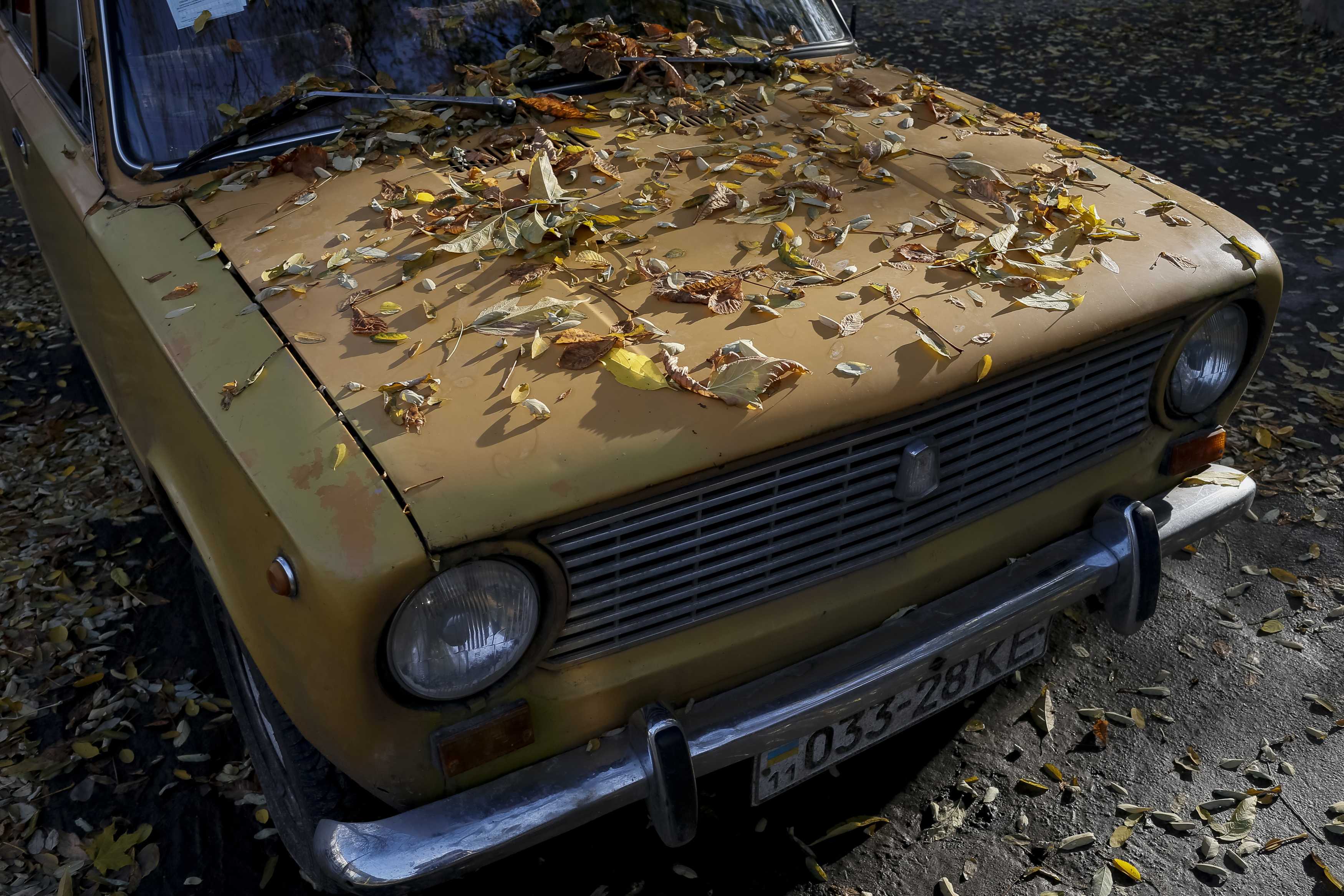 fallen leaves cover an old car photo reuters