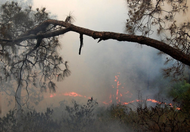 huge fire erupts in forests of margalla hills at monal on monday afternoon photo muhammad javaid the express tribune huge fire erupts in forests of margalla hills at monal on monday afternoon photo muhammad javaid the express tribune