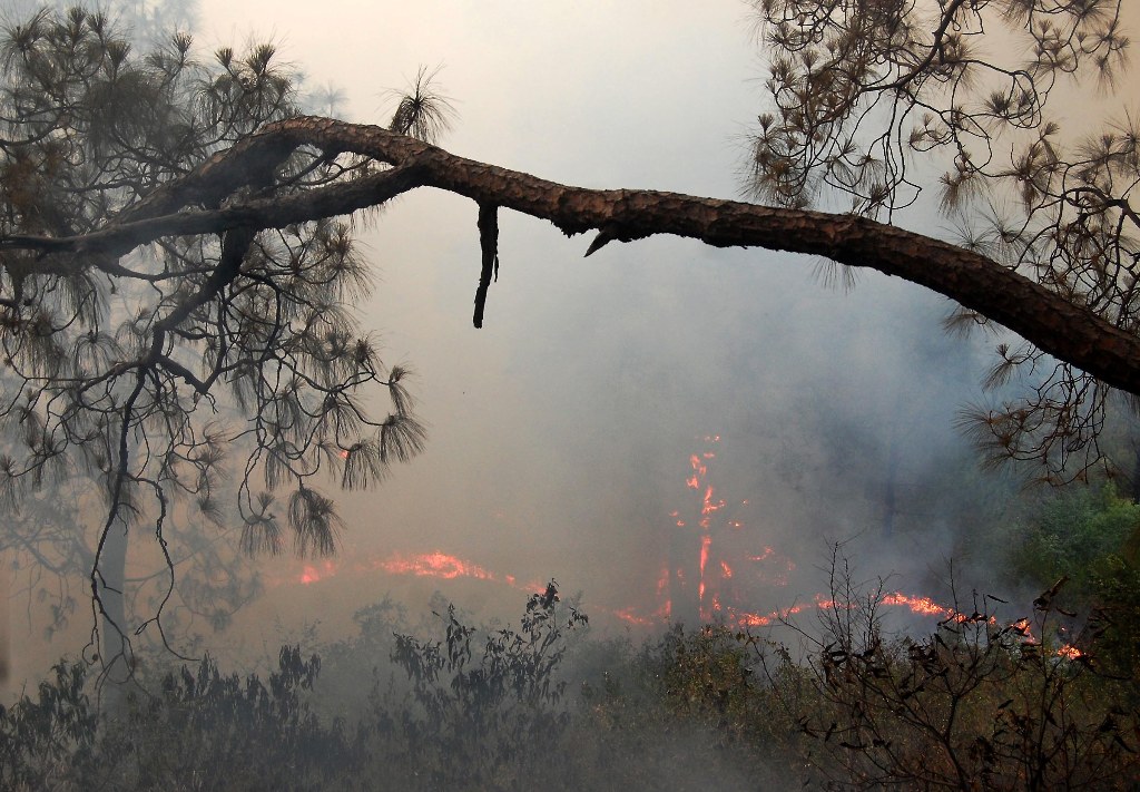 huge fire erupts in forests of margalla hills at monal on monday afternoon photo muhammad javaid the express tribune