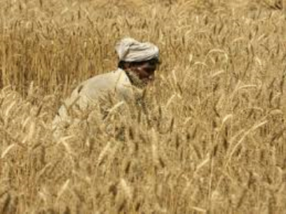 gunny bags 32 000 farmers submit applications