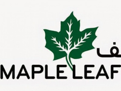 amid high costs maple leaf cement s profit declines 15