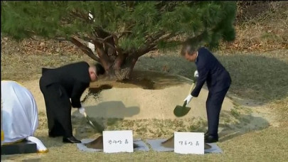 north korea s kim south korea s moon plant tree for peace at border north korea s kim south korea s moon plant tree for peace at border