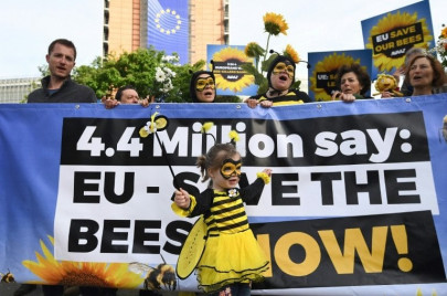 eu to ban bee killing pesticides