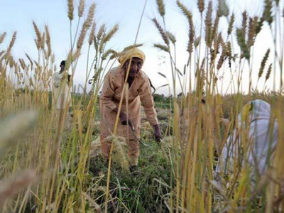 making an effort agriculture sector being upgraded