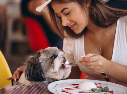 in a first meals to woof down at italy s only dog restaurant