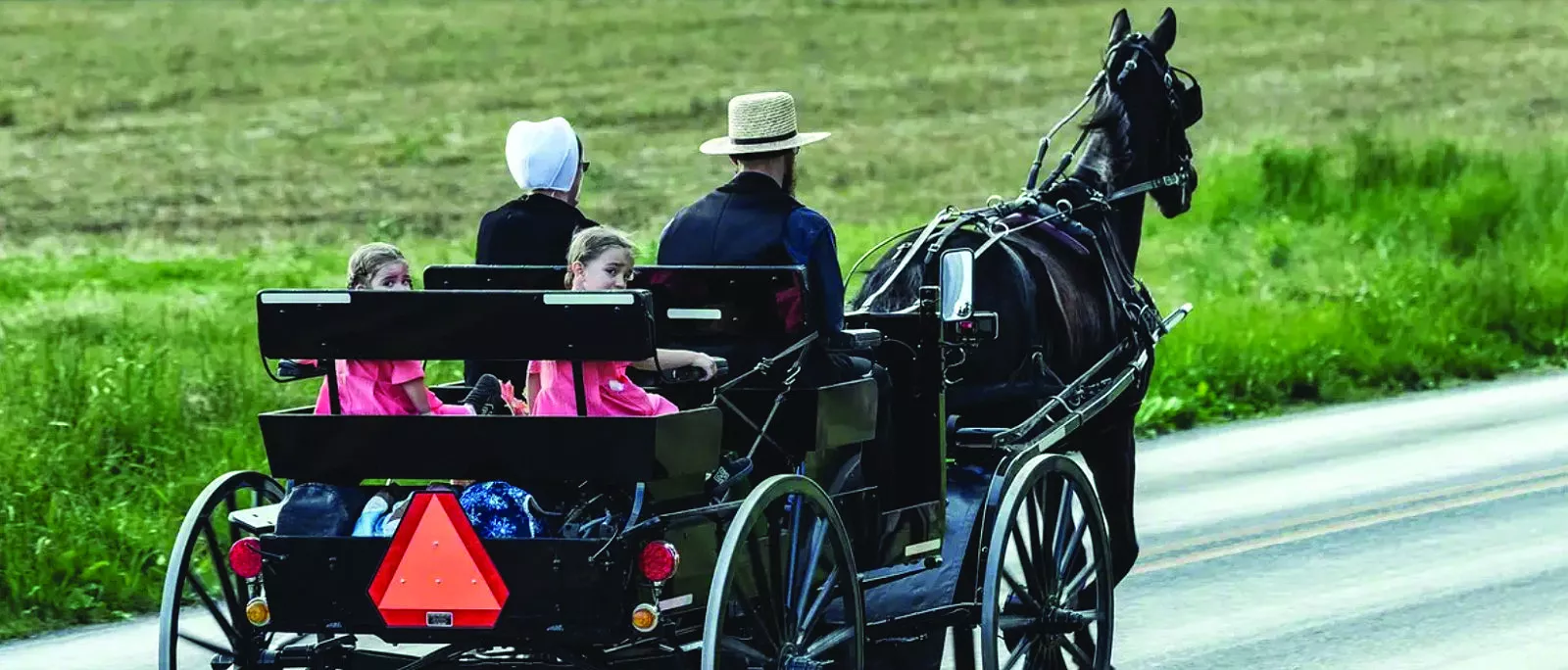 the amish commonly travel by horse buggy photo dw the amish commonly travel by horse buggy photo dw