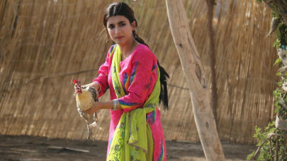 from udaari to khuda mera bhi hai 8 dramas that broke stereotypes from udaari to khuda mera bhi hai 8 dramas that broke stereotypes