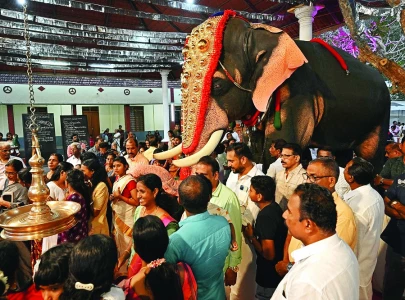 robots spare india s elephants robots spare india s elephants