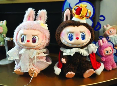 going loco for labubu going loco for labubu