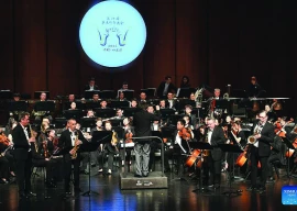 from curiosity to craze