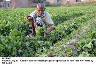 meeting shortfall plan to import fertiliser irks local industry