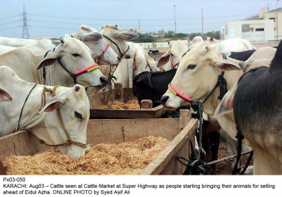 experts call for research in livestock sector