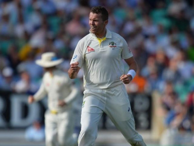 siddle takes down root and cook for ducks