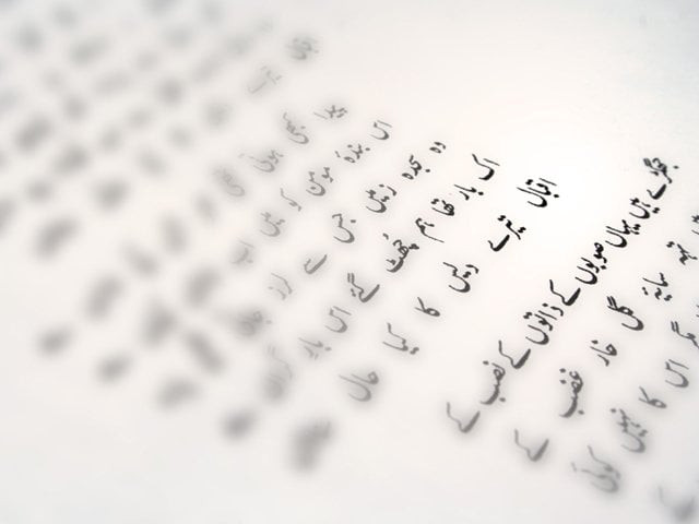 the 1973 constitution lists preservation of language script and culture as a fundamental right photo file