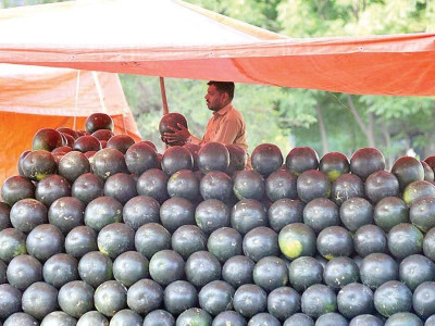 watermelon sales rise with mercury