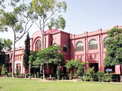 veterinarians must have latest skills veterinarians must have latest skills