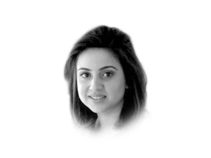the writer is a development professional working in the areas of governance transparency and global civil society the writer is a development professional working in the areas of governance transparency and global civil society