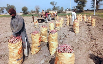 legislators admit standing committee on finance has failed to address issues