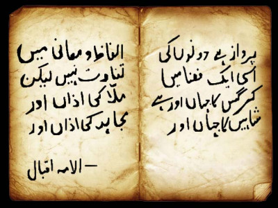 urdu and i a love affair