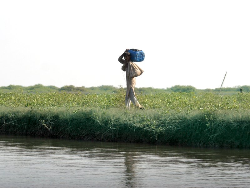 a new scheme had been introduced in last year 039 s budget under which the government was to initiate a study on the impact of sea intrusion the scheme has been wiped off this year photo athar khan express file