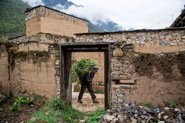 this picture taken on april 23 2018 shows villager carrying food for his livestock past devastated houses in the old village of luobozhai radish village which was damaged during the 2008 sichuan earthquake in wenchuan county sichuan province the village on a small plateau near the top of a mountain was badly damaged in the earthquake and most of the villagers moved to a new village nearby photo afp this picture taken on april 23 2018 shows villager carrying food for his livestock past devastated houses in the old village of luobozhai radish village which was damaged during the 2008 sichuan earthquake in wenchuan county sichuan province the village on a small plateau near the top of a mountain was badly damaged in the earthquake and most of the villagers moved to a new village nearby photo afp