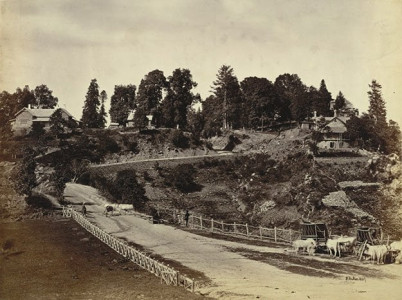 boycott campaign takes toll on murree tourism