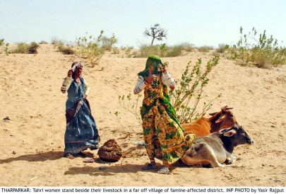 livestock dept taking steps for women empowerment livestock dept taking steps for women empowerment