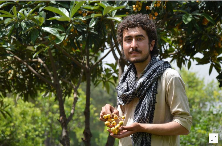 shorter and warmer weather shrinking agricultural produce photo reuters