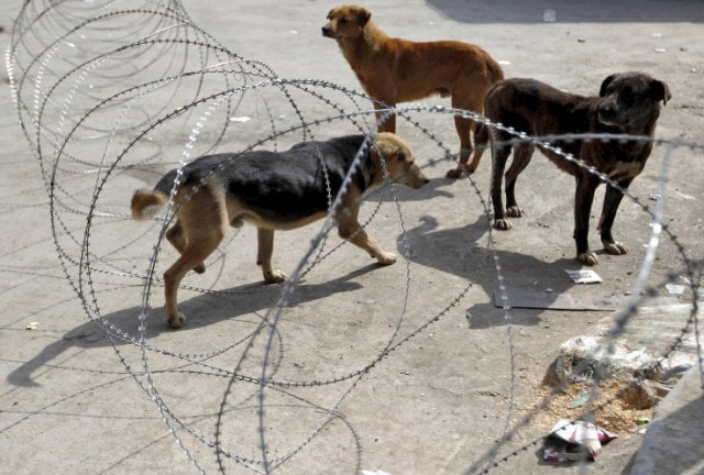 representational image photo reuters representational image photo reuters