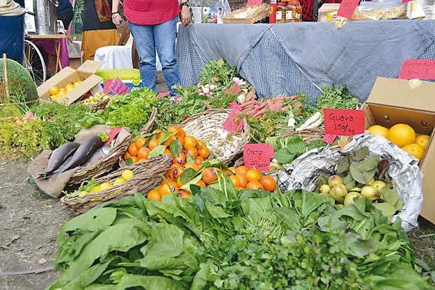 khalis food market is known for fresh herbs ostrich bbq seafood whereas haryali market sells organic gluten free breads and essential oils among others photos publicity