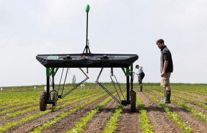 robots can replace pesticides in ai revolution robots can replace pesticides in ai revolution