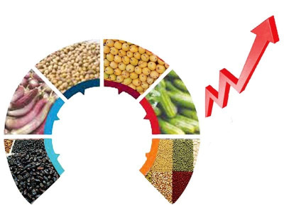 sky high profits prices of essential commodities increase manifold in ramazan sky high profits prices of essential commodities increase manifold in ramazan