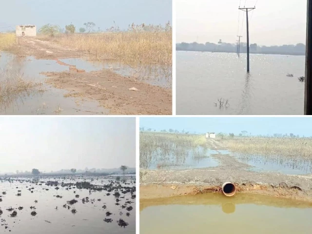 waterlogging and salinity take a toll on agricultural land in rahim yar khan threatening livelihoods of thousands of farmers photo express waterlogging and salinity take a toll on agricultural land in rahim yar khan threatening livelihoods of thousands of farmers photo express