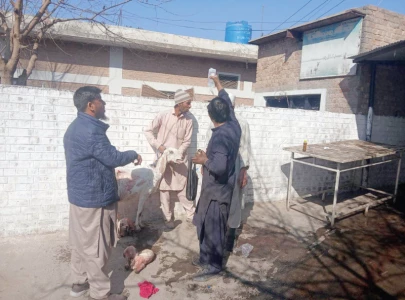 peshawar s veterinary hospital in critical condition