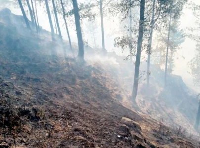 govt struggles to douse wild fire in jabban dargai