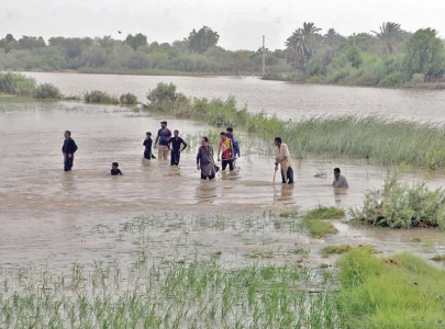 punjab devastation raises red flag for sindh s crops punjab devastation raises red flag for sindh s crops