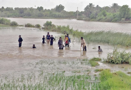 cm afridi drives k p irrigation overhaul