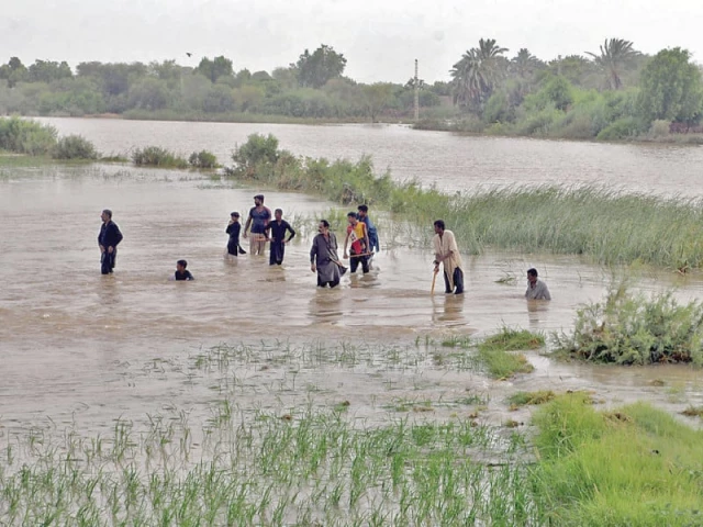 villagers desperately try to stem the rushing waters after a breach in the phuleli canal flooded vast stretches of agricultural land using makeshift tools and mud they work to protect their crops and homes from further devastation as water continues to surge through the broken embankment photo app