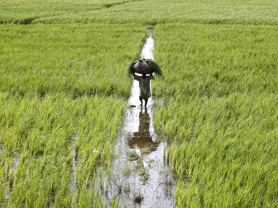 punjab approves act to protect farmers punjab approves act to protect farmers