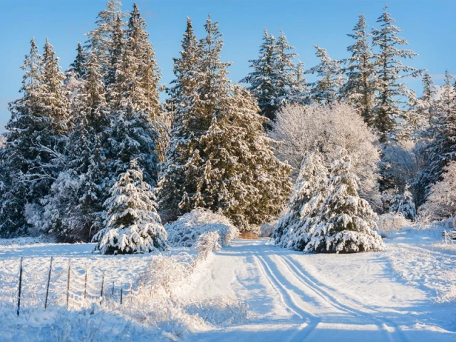 freezing months ahead warn climate experts