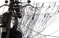 three children electrocuted by high voltage wires