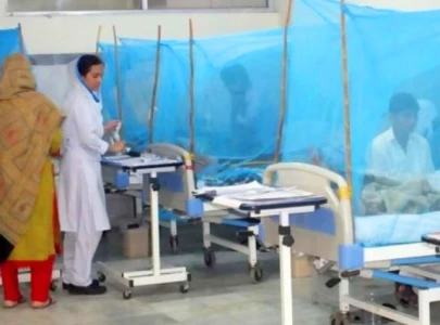 pindi reports 42k dengue larvae detections