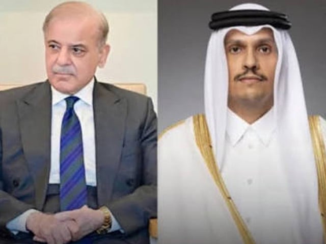 Shehbaz praises Qatar’s backing for Pakistan’s peace efforts